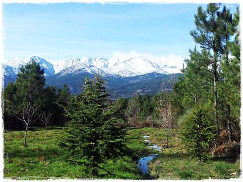 sierra de gredos nevada